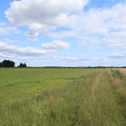 Das Foto zeigt eine weite, offene Landwirtschaftsfläche. 