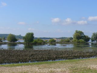 Das Foto zeigt ein Überschwemmungsgebiet an der Oder