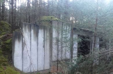 Das Foto zeigt den Eingang eines Betonbaus im Wald.