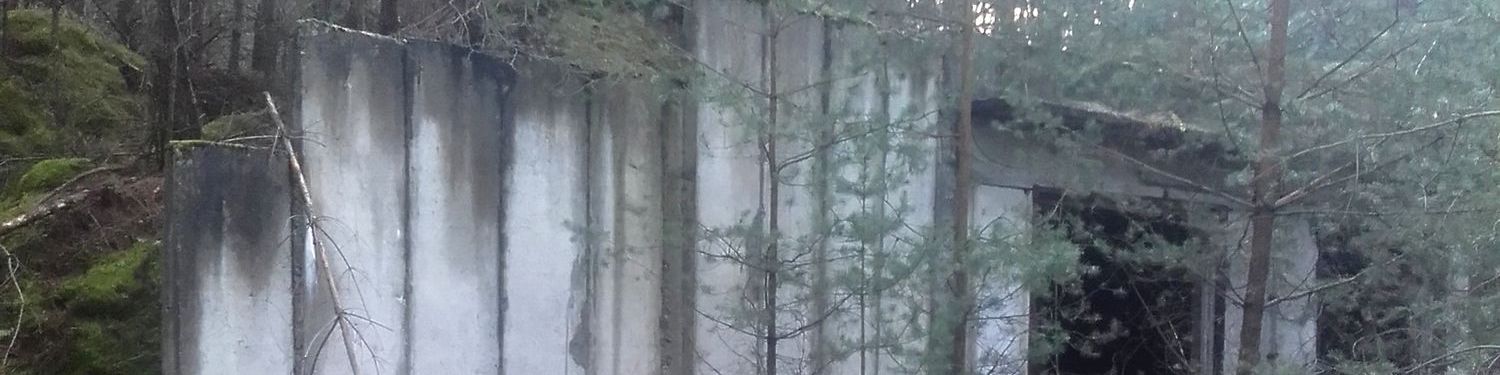 Das Foto zeigt den Eingang eines Betonbaus im Wald.