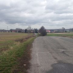 Eine kleine Straße führ durch Felder. Der Straßenrand ist kahl. 