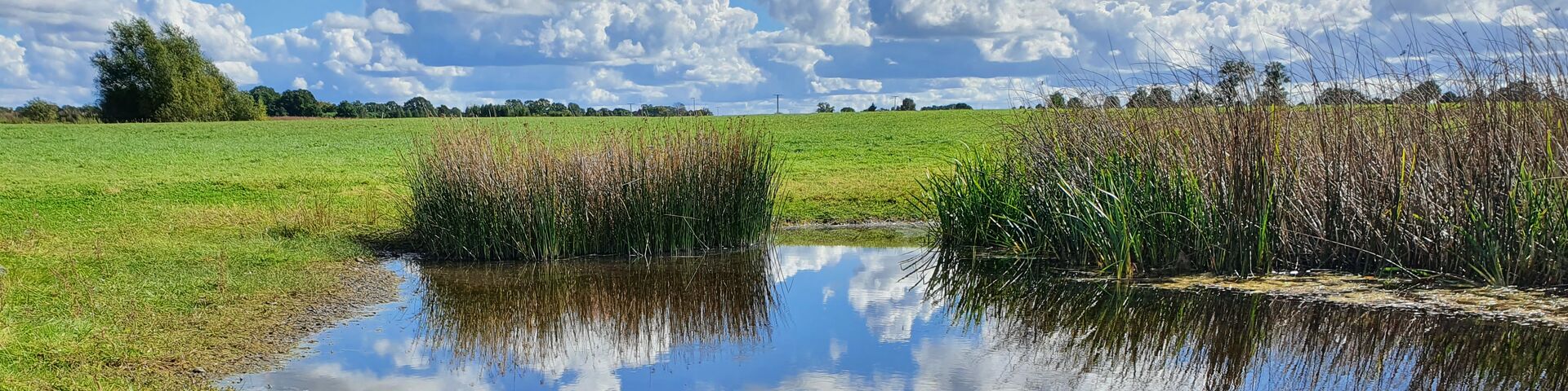 Das Foto zeigt ein Kleingewässer nach den Maßnahmen: In der Wasserfläche spielgeln sich Wolken und blauer Himmel. An wenige Stellen ist Röhricht zu sehen.