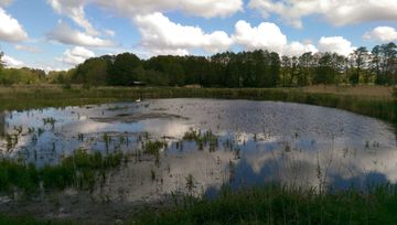 Im unteren Teil des Bildes ist ein Teich zu sehen, es ist fast windstill, also spiegelt sich der blaue Himmel mit den weißen Wolken darin. Auf der linken Seite ist sogar ein Schwan zu sehen. Der Teich liegt gerade im Schatten, da die Sonne von den Wolken verdeckt wird.